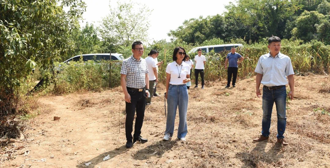 微信圖片_20220927223941.png 微信圖片_20220927223941.png